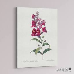 "Artery8 Antirrhinum Dragon Flowers Redoute Vintage Canvas Wall Art in White - Size: W18"" x H24""" - thumbnail 2