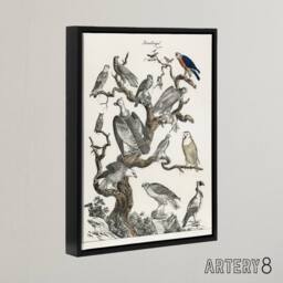 "Artery8 Birds Eagle Hawk Owl on Tree Nature Black Framed Canvas Wall Art in White - Size: W12"" x H16""" - thumbnail 2