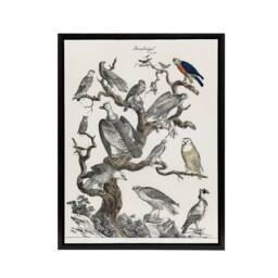 "Artery8 Birds Eagle Hawk Owl on Tree Nature Black Framed Canvas Wall Art in White - Size: W12"" x H16""" - thumbnail 1