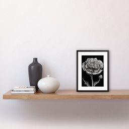 "Artery8 Wall Art Print Black & White Linocut Carnation Flower Artwork Framed 9X7 Inch - Size: W7"" x H9""" - thumbnail 2