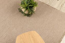 RugsX Jute Rug in Beige - Size: 60 cm x 100 cm - thumbnail 4