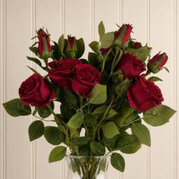 Leaf Pack of 6 x 60cm Artificial Red Rose Flower Premium - Size: 6 x 60 cm