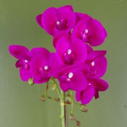 Leaf 50cm Phalaenopsis Orchid Artificial - Dark Pink Silver - thumbnail 2