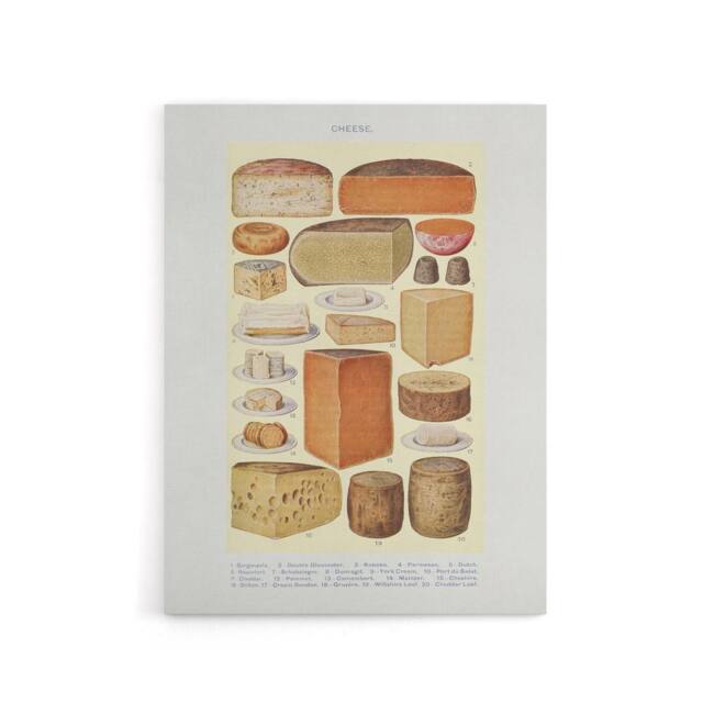 "Artery8 Different Types of Cheese Mrs Beeton Canvas Wall Art Print in Beige - Size: W18"" x H24""" - image 1