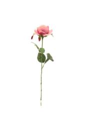 KDMD Lavender Rose 42cm 6 Pack Silk - thumbnail 5