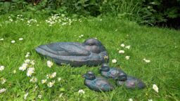 Inspirational Gifting Duck & Three Ducklings Garden Ornaments in Bronze - thumbnail 4