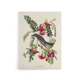 "Artery8 Birds of America Piping Flycatcher Audubon Canvas Wall Art in White - Size: W18"" x H24""" - thumbnail 1