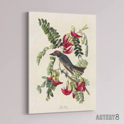 "Artery8 Birds of America Piping Flycatcher Audubon Canvas Wall Art in White - Size: W18"" x H24""" - thumbnail 2