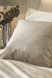 Soiree 'Melanie' Luxe Velvet Filled Cushion in Beige - Size: 43 cm x 43 cm