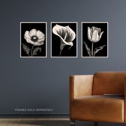 Artery8 Wall Art Print Set of 3 Elegant Single Tulip Anemone Calla Lily Flowers Floral Black White Striking Impact Artwork Living Room Poster s Pack - thumbnail 2