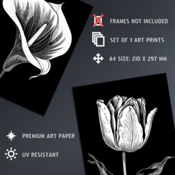 Artery8 Wall Art Print Set of 3 Elegant Single Tulip Anemone Calla Lily Flowers Floral Black White Striking Impact Artwork Living Room Poster s Pack - thumbnail 4