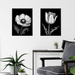 Artery8 Wall Art Print Set of 3 Elegant Single Tulip Anemone Calla Lily Flowers Floral Black White Striking Impact Artwork Living Room Poster s Pack - thumbnail 6