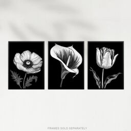 Artery8 Wall Art Print Set of 3 Elegant Single Tulip Anemone Calla Lily Flowers Floral Black White Striking Impact Artwork Living Room Poster s Pack - thumbnail 5