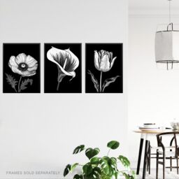 Artery8 Wall Art Print Set of 3 Elegant Single Tulip Anemone Calla Lily Flowers Floral Black White Striking Impact Artwork Living Room Poster s Pack - thumbnail 3