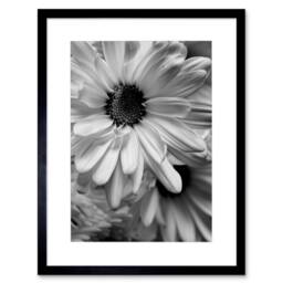 "Artery8 Black White gerbera Flower Living Room 12x16"" Framed Art Print in Grey - Size: W12"" x H16""" - thumbnail 1