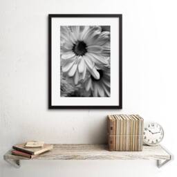 "Artery8 Black White gerbera Flower Living Room 12x16"" Framed Art Print in Grey - Size: W12"" x H16""" - thumbnail 2