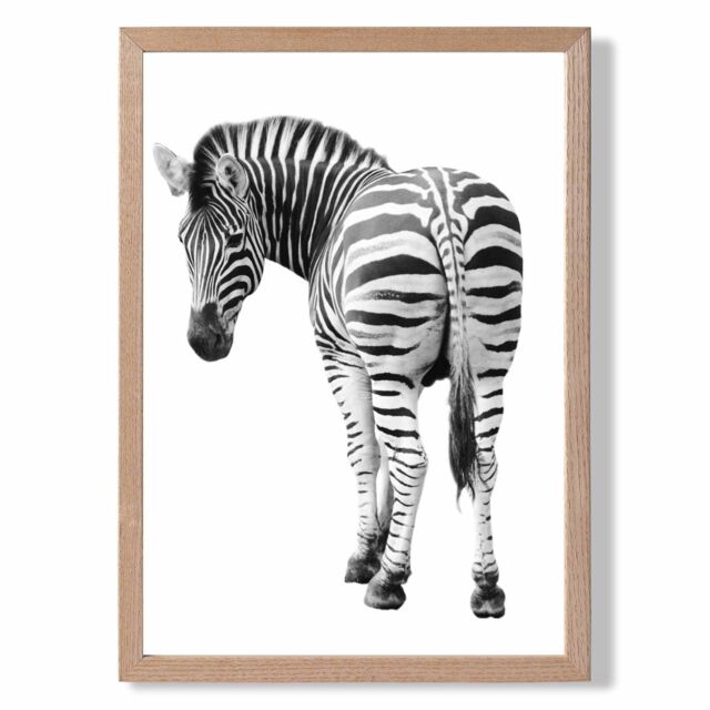 ARTZE Cheeky Zebra Animal Black & White Photo Framed Print SIZE: A3 with Oak Frame - Size: A4 - image 1