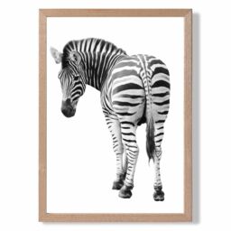 ARTZE Cheeky Zebra Animal Black & White Photo Framed Print SIZE: A3 with Oak Frame - Size: A4 - thumbnail 1