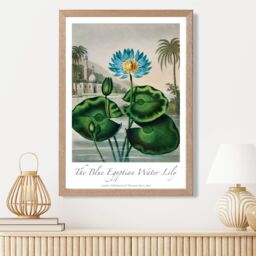ARTZE Vintage Floral Exhibition - Egyptian Water Lily Framed Print SIZE: A4 with Oak Frame in Green - thumbnail 2