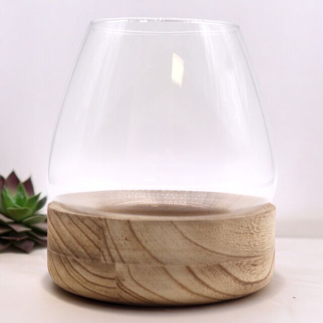 KDMD Large Terarium on Natural Tung Wood in Brown - image 1