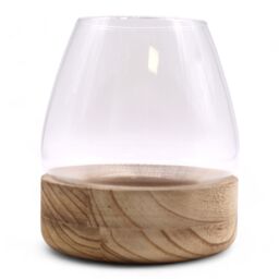 KDMD Large Terarium on Natural Tung Wood in Brown - thumbnail 2
