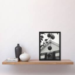 "Artery8 Gable & Apples Photograph Alfred Stieglitz Framed Wall Art Print in Grey - Size: W12"" x H16""" - thumbnail 4