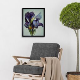 "Artery8 Wall Art Print Iris Floral Modern Watercolour Art Framed in Black - Size: W12"" x H16""" - thumbnail 2