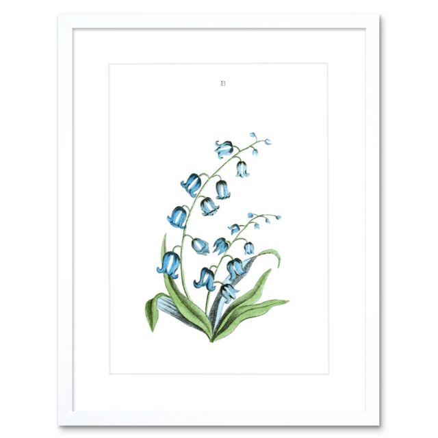 "Artery8 Wall Art Print Flower Bluebells Art Framed 9x7 inch in White - Size: W7"" x H9""" - image 1