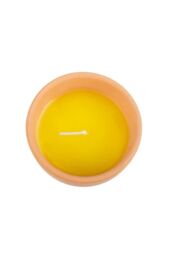KDMD Gardener of the Year Citronella Candle in Brown - thumbnail 2
