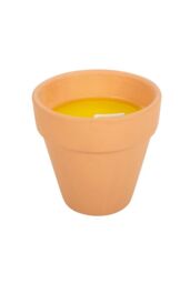 KDMD Gardener of the Year Citronella Candle in Brown - thumbnail 3