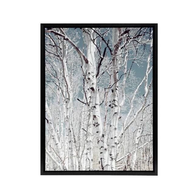 "Artery8 Birch tree forest Carol M Highsmith Framed Canvas Wall Art Print - Size: W12"" x H16""" - image 1