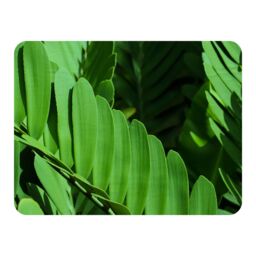 Benjamin Tate Design Natural dark green leaves, long slender green leaves Designer Blanket - Size: 120 cm x 150 cm - thumbnail 1