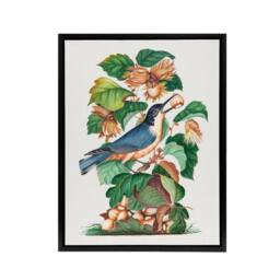 "Artery8 Nuthatch Bird Hazel Oak & Bramble Bolton Black Framed Canvas Art - Size: W12"" x H16""" - thumbnail 1
