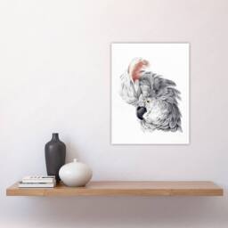 "Artery8 Cockatoo Parrot Head Watercolour Schouman Wall Art Poster Print in White - Size: W12"" x H16""" - thumbnail 4