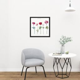"Artery8 Wall Art Print Five Studies Of Anemones Pretty Flowers Drawing Square Framed Picture 16X16 Inch in Black - Size: W16"" x H16""" - thumbnail 2