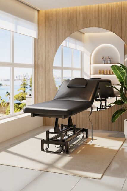 SHEONLY Electric Adjustable Reclining Tattoo Chair - Portable Salon Spa Bed in Black - image 1