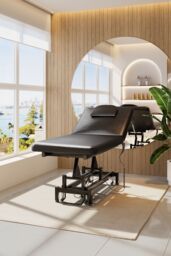 SHEONLY Electric Adjustable Reclining Tattoo Chair - Portable Salon Spa Bed in Black - thumbnail 1