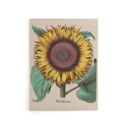 "Artery8 Sunflower Flos Solis Maior Flower Canvas Wall Art Print - Size: W24"" x H32""" - thumbnail 1