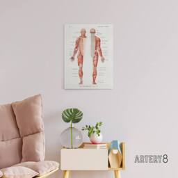 "Artery8 Human Nervous System Boissiere Vintage Canvas Wall Art in White - Size: W24"" x H32""" - thumbnail 3