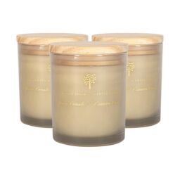 Nicola Spring 130g Pomelo & Passion Fruit Soy Candles - Pack of 3 - Fruity Scented in Grey