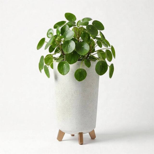 KORVIXA Tall Plant Pot with Legs 23.9cm Indoor Outdoor in White - image 1