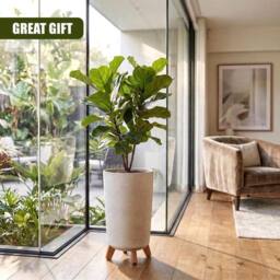 KORVIXA Tall Plant Pot with Legs 23.9cm Indoor Outdoor in White - thumbnail 4