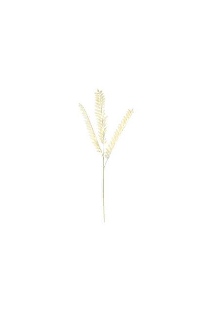 KDMD Essential Dry Look Bleached Fern Spray 78cm 5 Pack in Light Brown - image 1