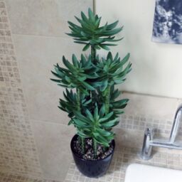 Leaf 60cm Artificial Tropical Yukka Palm Potted in Planter in Green - thumbnail 4