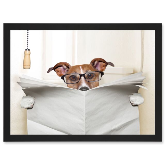 Artery8 Jack Russell Dog Toilet Reading Newspaper Photo Mock Up A4 Artwork Framed Wall Art Print in Black - image 1