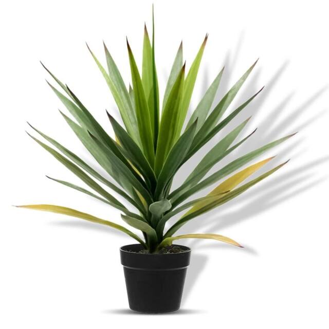 Havendro 50cm Artificial Agave Tree Fake Plant in Pot Decor in Green