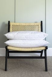 Soak&Sleep Duck Feather & Down Pillow Pair - Medium in White