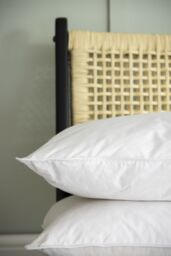 Soak&Sleep Duck Feather & Down Pillow Pair - Medium in White - thumbnail 4