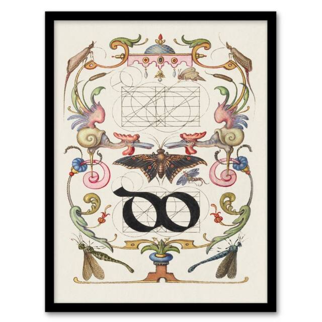 Artery8 Model Book of Calligraphy Framed Wall Art Ligature Guide with Butterfly in White - Size: A4 - image 1