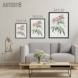 "Artery8 Hudson Swamp Rose Flowers Redoute Vintage Black Framed Canvas Wall Art in White - Size: W12"" x H16""" - thumbnail 4